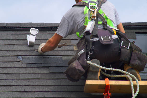 Best Roof Waterproofing Services  in Holt, MI