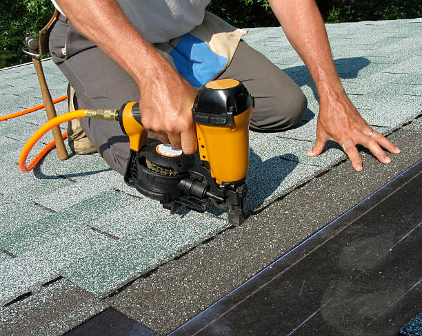Best Roof Waterproofing Services  in Holt, MI